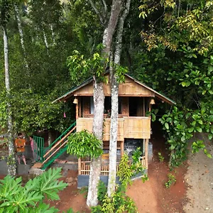 https://fab-bamboo-hut-with-open-shower.hotels-munnar.com