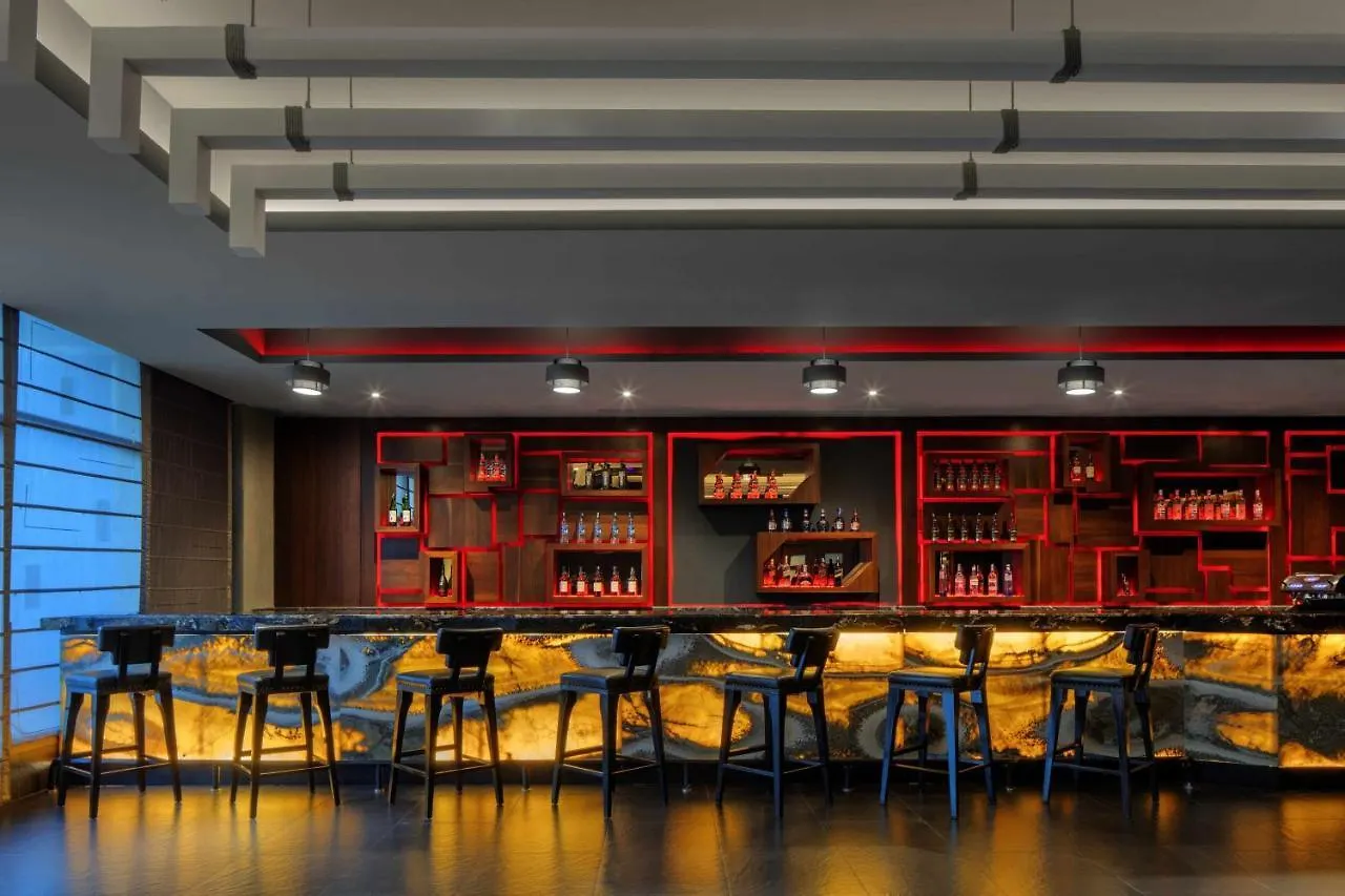 ***** 酒店 迈索尔丽笙世嘉酒店 印度